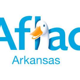 feature image representing the featured item "Aflac"